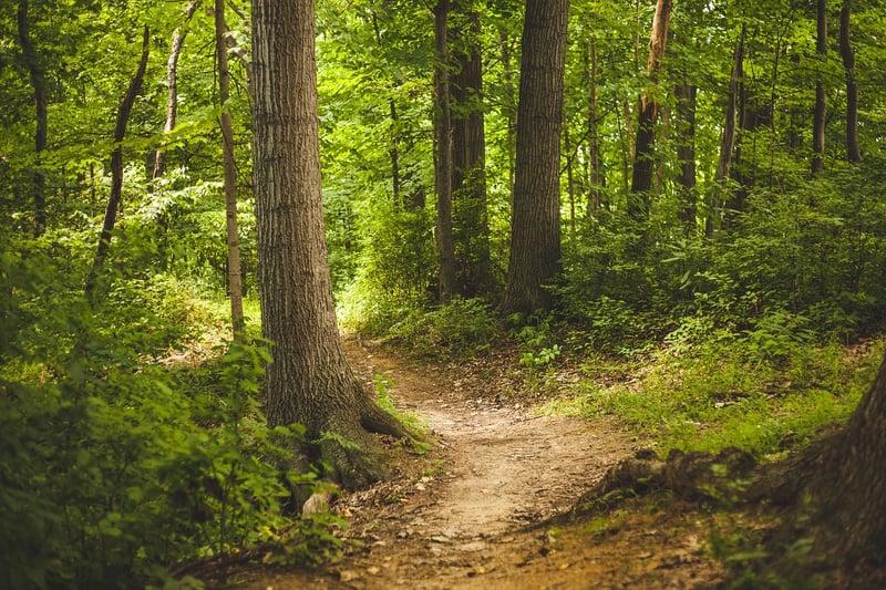 Outdoor trails